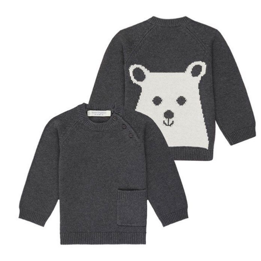 Pull VICTOR tricot de coton bio - SENSE ORGANICS