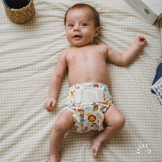 Culotte de protection scratch POPOWRAP - POPOLINI