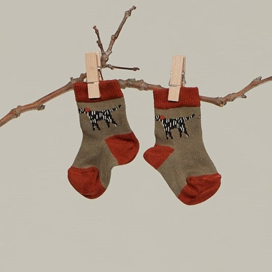 Duo chaussettes PALTI - SENSE ORGANICS