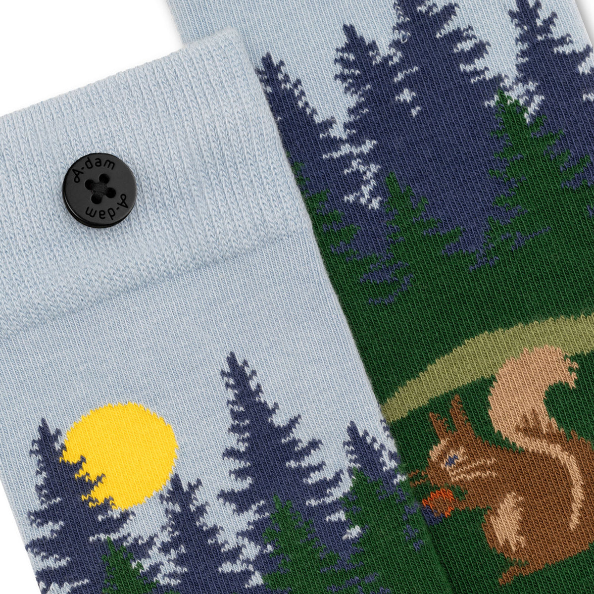 Coffret de 3 paires de chaussettes Randonnée en forêt - ADAM