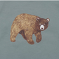 Pull ourson en coton bio - WALKIDDY