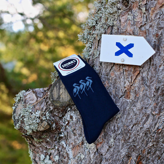 Chaussettes munster - STORKS